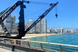 Desde Santiago: tour en crucero a Valparaíso/San Antonio