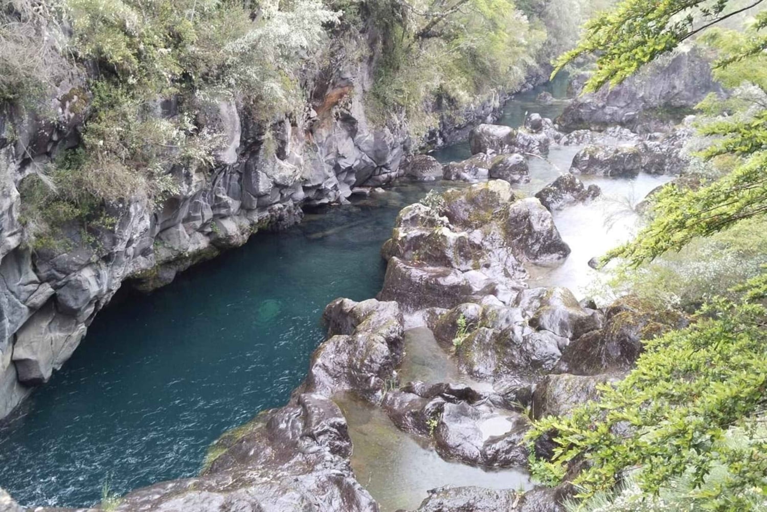 Tour privado de 1 día: cascadas de Petrohué y lago Todos los Santos