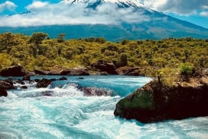 Tour privado de 1 día: cascadas de Petrohué y lago Todos los Santos