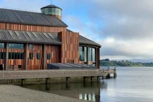 Tour privado de 1 día: cascadas de Petrohué y lago Todos los Santos