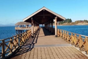 Tour privado de 1 día: cascadas de Petrohué y lago Todos los Santos