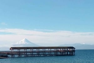 Tour privado de 1 día: cascadas de Petrohué y lago Todos los Santos