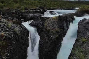 Tour privado de 1 día: cascadas de Petrohué y lago Todos los Santos