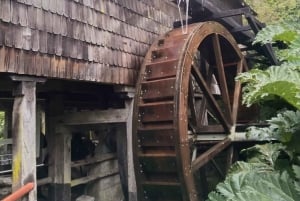 Tour privado de 1 día: cascadas de Petrohué y lago Todos los Santos