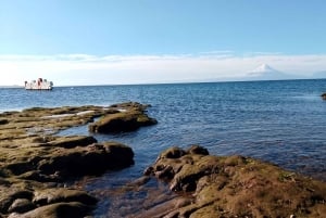 Tour privado de 1 día: cascadas de Petrohué y lago Todos los Santos