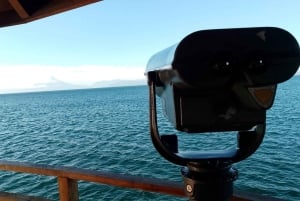 Tour privado de 1 día: cascadas de Petrohué y lago Todos los Santos