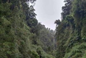 Tour privado de 1 día: cascadas de Petrohué y lago Todos los Santos