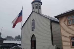 Tour privado de 1 día: cascadas de Petrohué y lago Todos los Santos