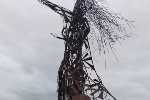 Tour privado de 1 día: cascadas de Petrohué y lago Todos los Santos