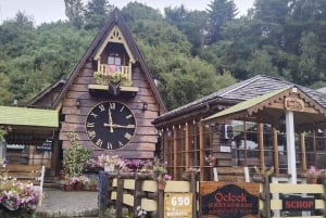 Tour privado de 1 día: cascadas de Petrohué y lago Todos los Santos