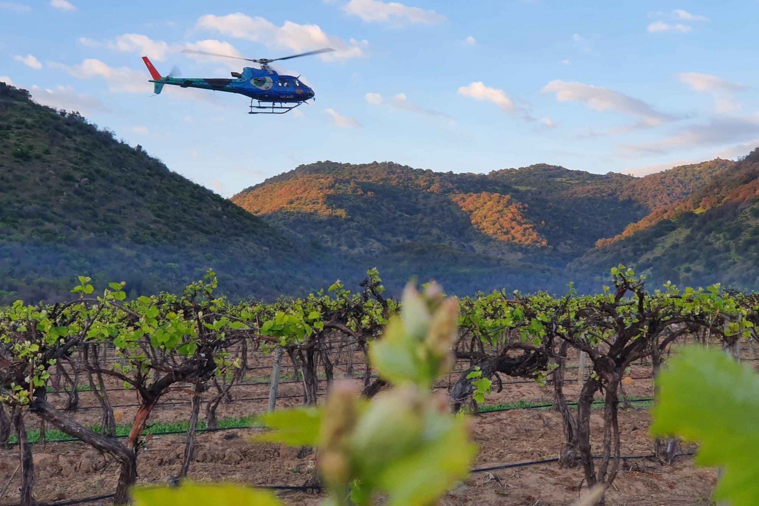 Vol privé en hélicoptère vers un domaine viticole avec vin mousseux