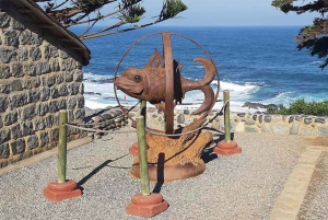 Private Isla Negra & Pomaire Cultural Day Trip