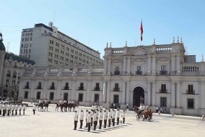 Private Santiago and Neighborhoods Tour