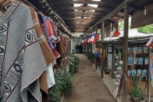 Private Santiago and Neighborhoods Tour