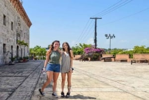 Частная однодневная поездка в Санто-Доминго с обедом и напитками