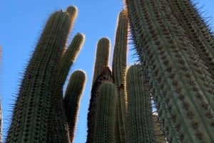 Private Sunset Hike from Santiago with Stunning Andes Views