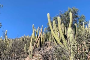 Private Sunset Hike from Santiago with Stunning Andes Views