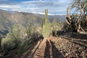 Private Sunset Hike from Santiago with Stunning Andes Views