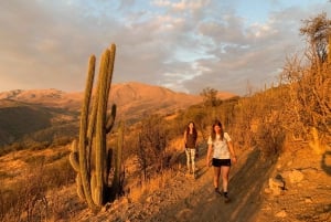 Private Sunset Hike from Santiago with Stunning Andes Views