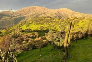 Private Sunset Hike from Santiago with Stunning Andes Views
