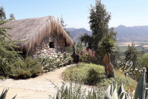 Private-Tour of Chilean Wine Country: Colchagua