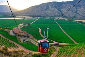 Private-Tour of Chilean Wine Country: Colchagua