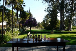 Private Tour: Premium Undurraga Vineyard Experience