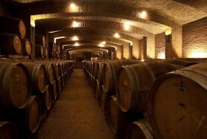 Private Tour: Premium Undurraga Vineyard Experience