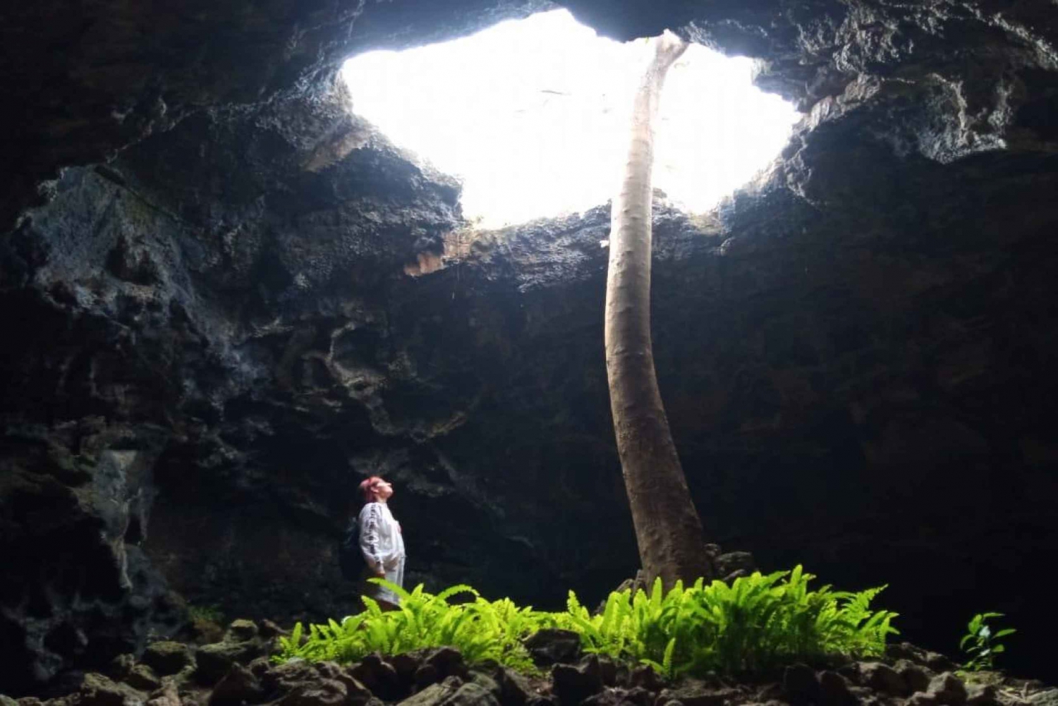 Excursão particular: O mundo subterrâneo das cavernas Rapa Nui