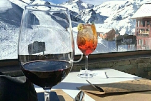 Privat tur til Valle Nevado, La Parva og Farellones