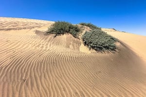 Частный тур Вальпараисо, Винья-дель-Мар и дюны Конкон