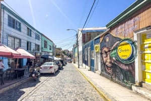 Частный тур Вальпараисо, Винья-дель-Мар и дюны Конкон