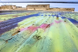 Частный тур Вальпараисо, Винья-дель-Мар и дюны Конкон