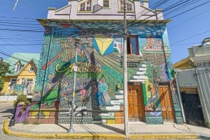 Частный тур Вальпараисо, Винья-дель-Мар и дюны Конкон