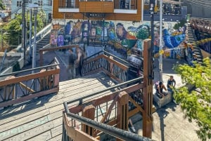 Частный тур Вальпараисо, Винья-дель-Мар и дюны Конкон