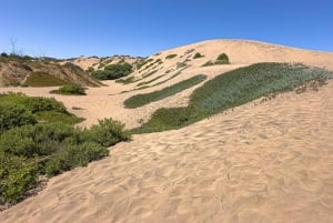 Частный тур Вальпараисо, Винья-дель-Мар и дюны Конкон