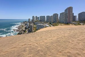 Частный тур Вальпараисо, Винья-дель-Мар и дюны Конкон