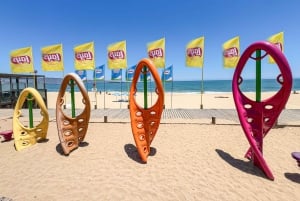 Частный тур Вальпараисо, Винья-дель-Мар и дюны Конкон