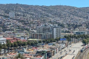 Частный тур Вальпараисо, Винья-дель-Мар и дюны Конкон