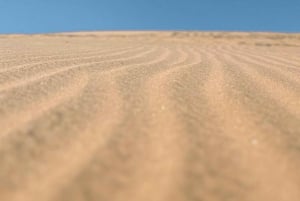 Частный тур Вальпараисо, Винья-дель-Мар и дюны Конкон