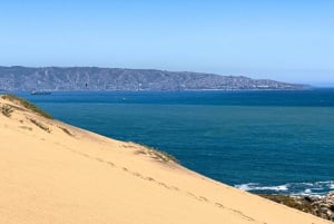 Частный тур Вальпараисо, Винья-дель-Мар и дюны Конкон