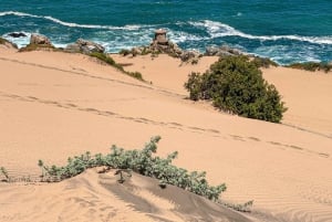 Частный тур Вальпараисо, Винья-дель-Мар и дюны Конкон