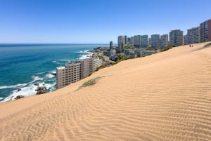 Частный тур Вальпараисо, Винья-дель-Мар и дюны Конкон