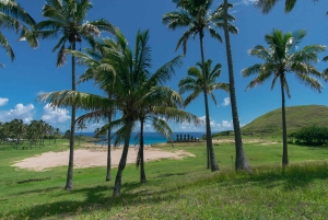 Passeio particular: onde nasceu a história dos moais