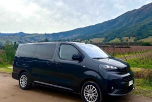 Trasferimento privato Aeroporto di Santiago del Cile - Hotel