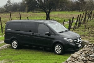 Privater Transfer Colchagua-Weinstraße Abfahrt in Santa Cruz