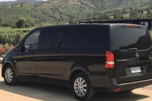 Transport privé Route des vins de Colchagua au départ de Santa Cruz