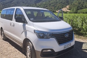 Transport privé Route des vins de Colchagua au départ de Santa Cruz