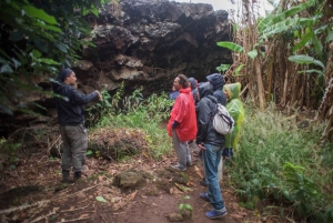 Tour Privado de Trekking: Cuevas de Isla de Pascua