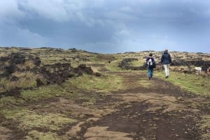 Tour Privado de Trekking: Cuevas de Isla de Pascua